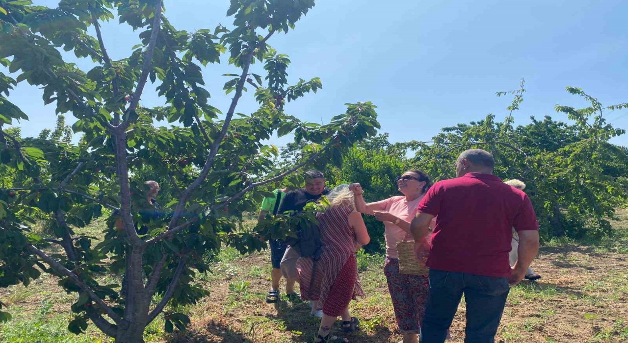 Yeşilçam Yıldızı Savaştan nostaljik ziyaret: Geleneksel kıyafetiyle kiraz topladı