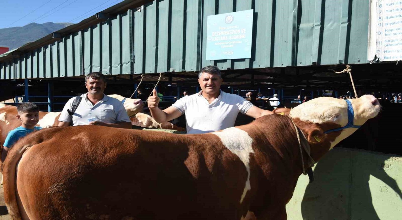 Yıldırım Kurban Bayramına hazır