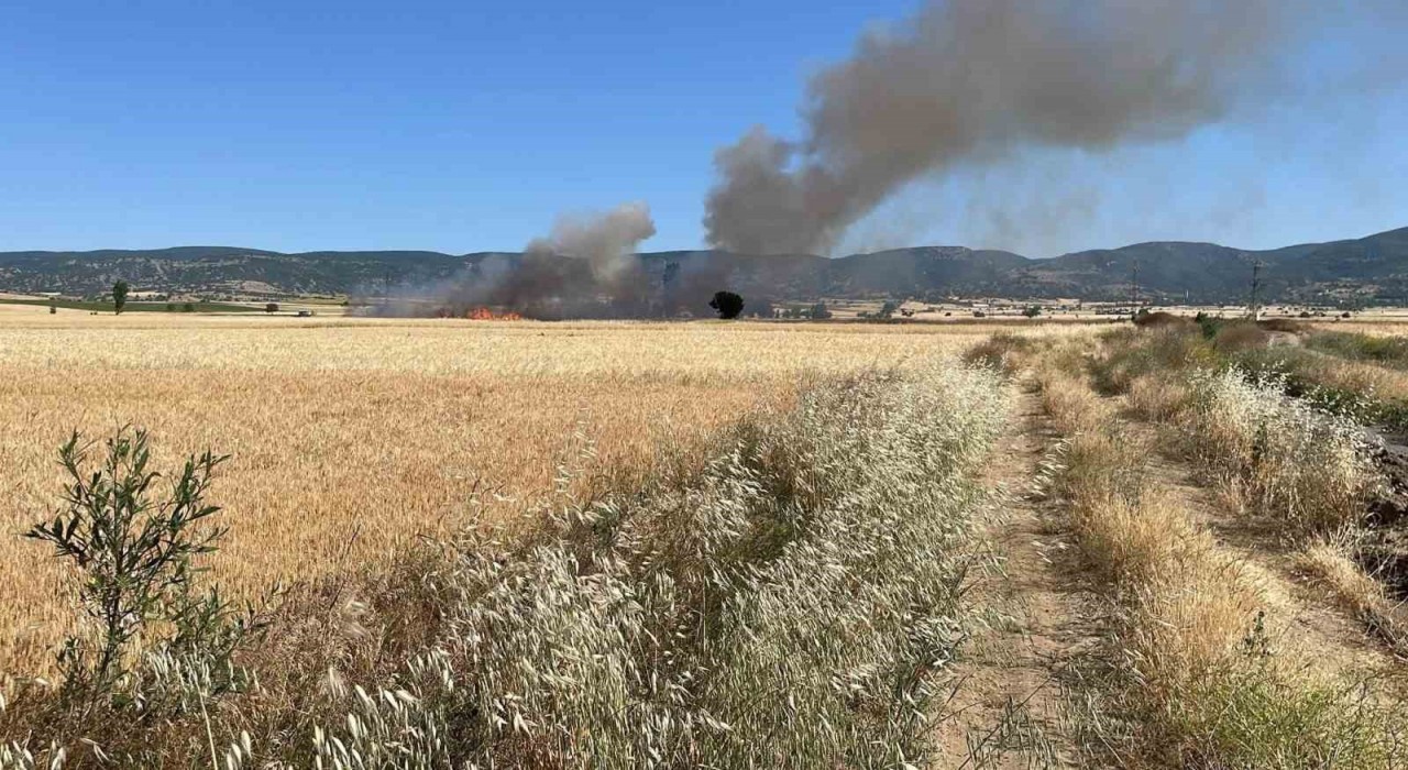Yozgatta 20 dönüm ekili alan kül oldu