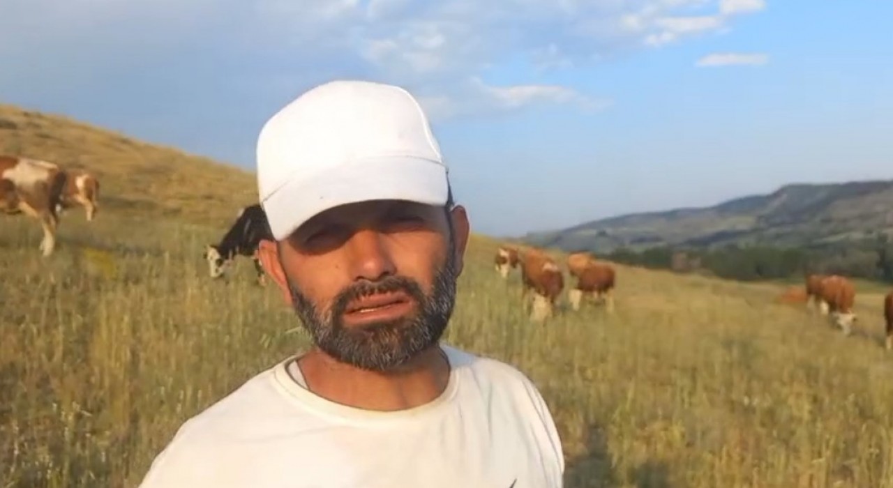 Yozgatta keneler görülmeye devam ediyor