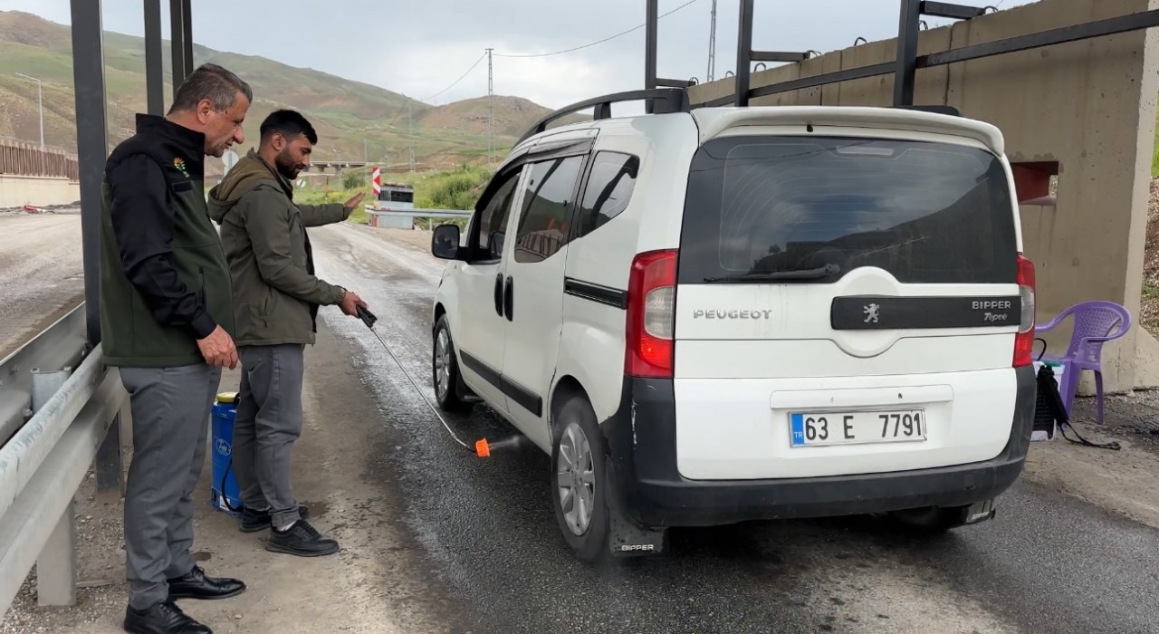 Yüksekovada şap hastalığı alarmı