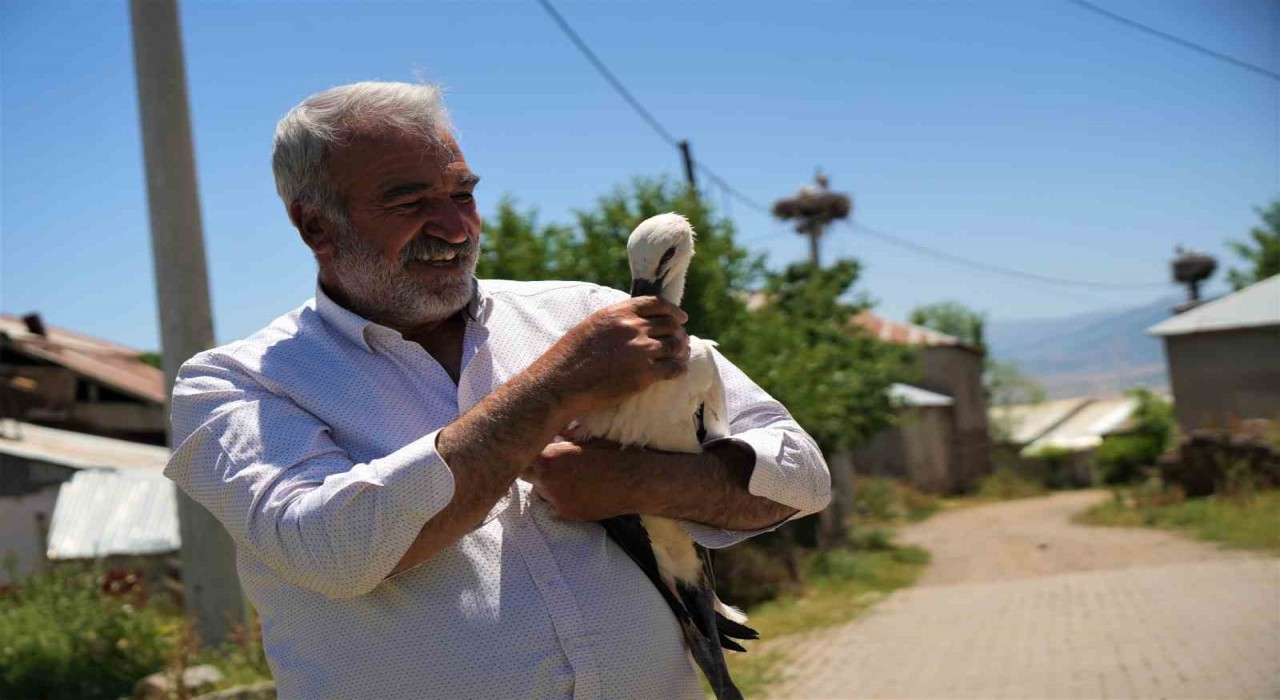 Yuvadan düşen leylek yavrusu koruma altına alındı