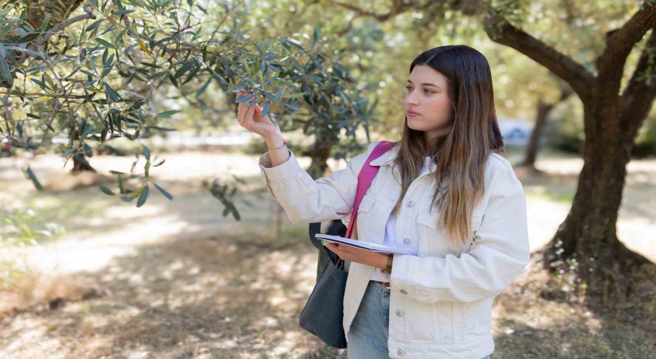 Zeytin üretimine yapay zeka ile takip