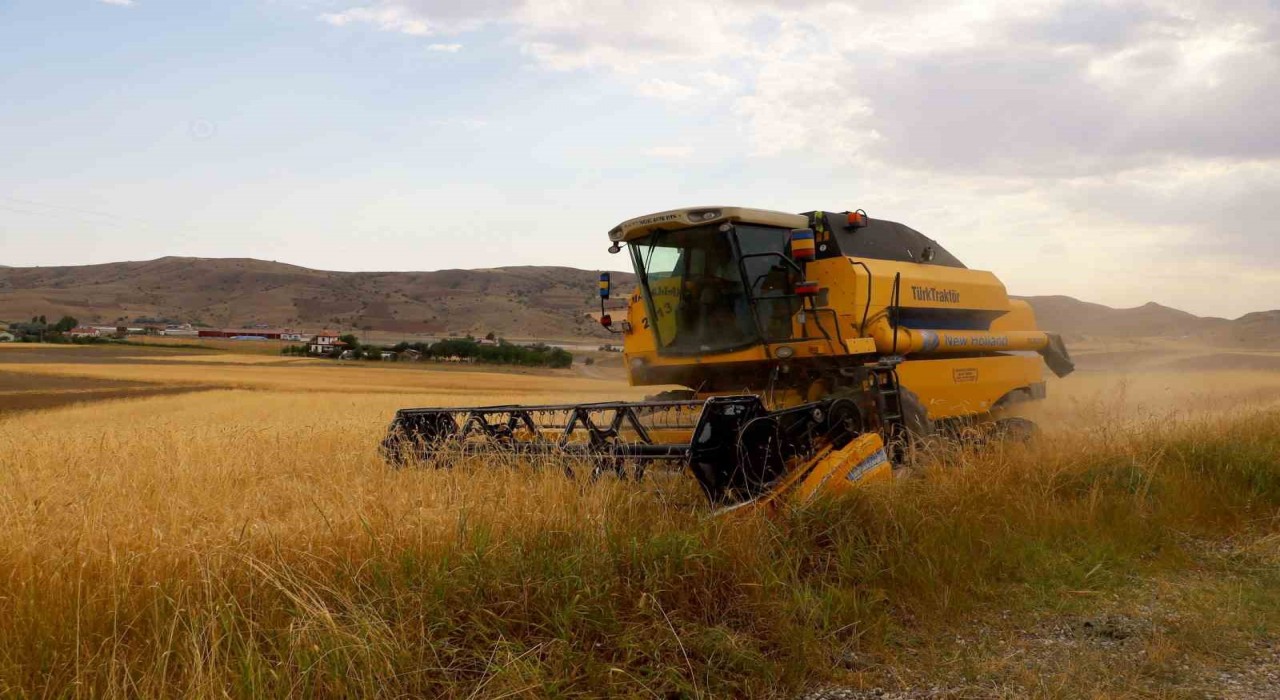 2.5 milyon dekar alanda ekildi, 800 bin ton ürün bekleniyor