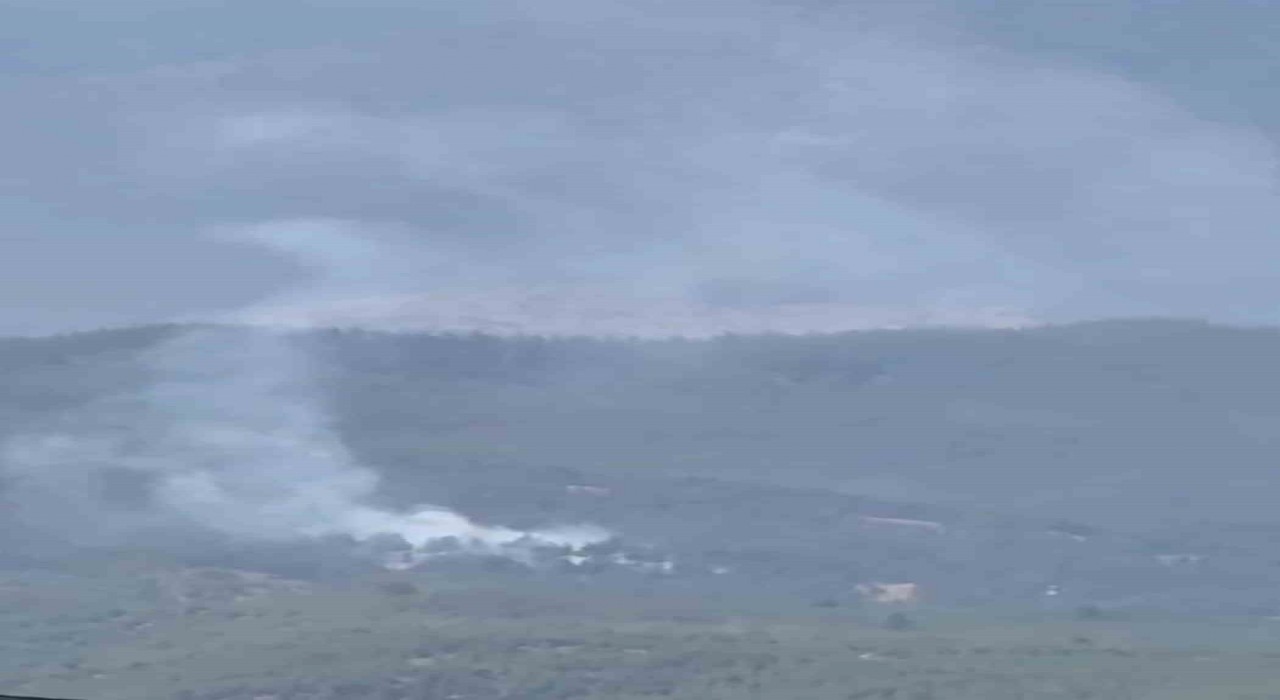 Adana Aladağda orman yangını çıktı