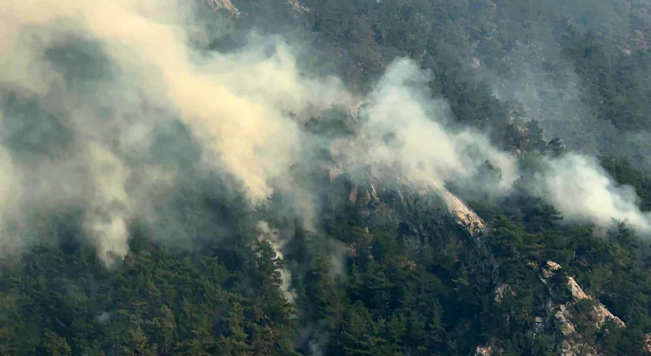 Adanadaki orman yangınlarına 3 tutuklama