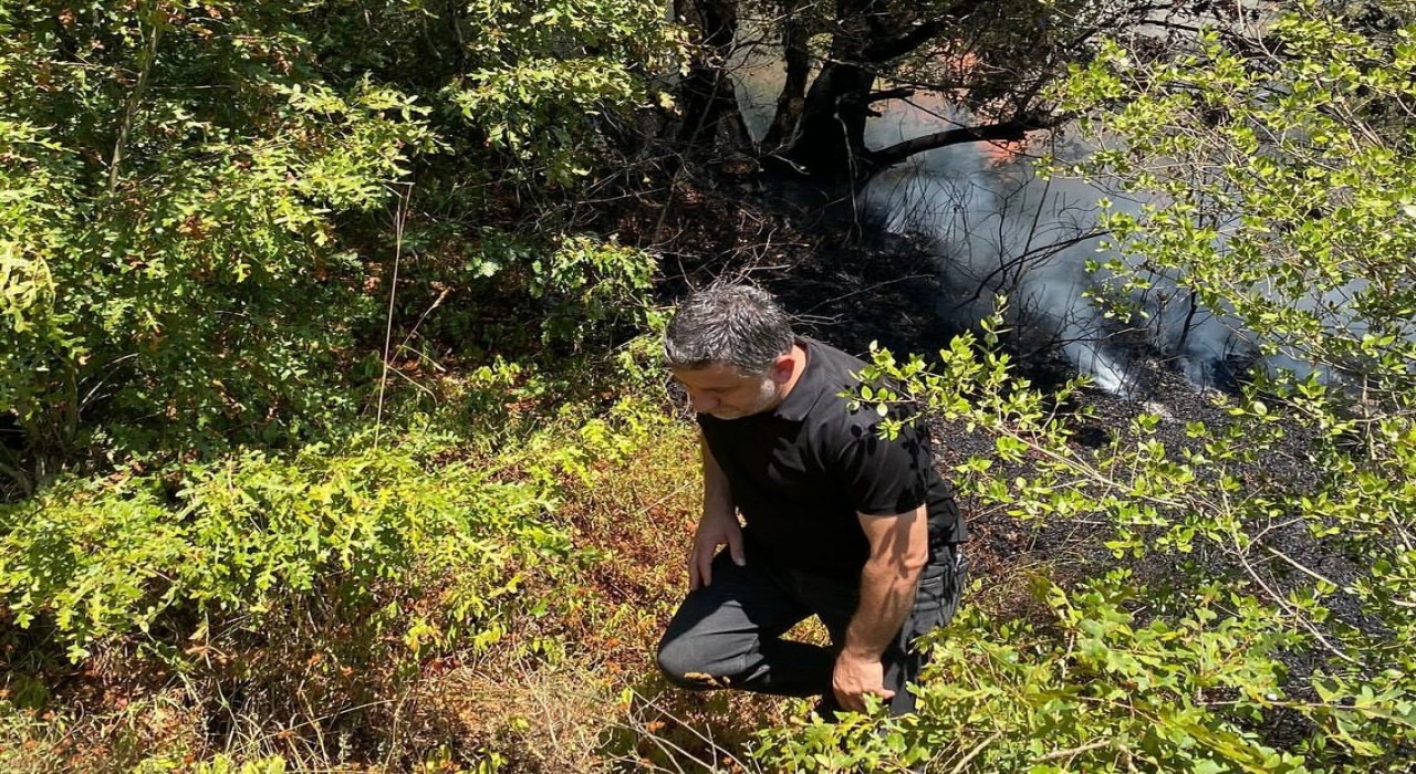 Adapazarında ormanlık alanda yangın çıktı