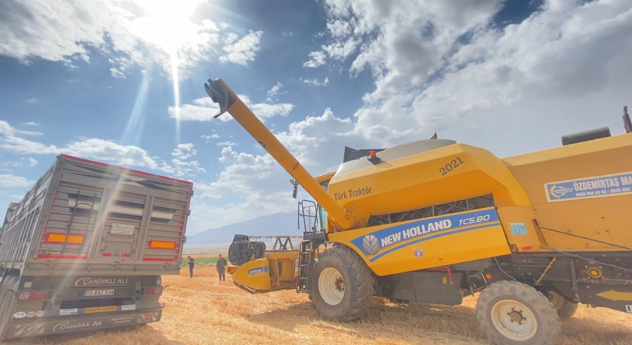 Adilcevazda buğday hasadı devam ediyor