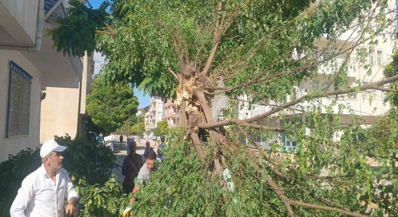 Adıyaman Gölbaşında fırtına etkili oldu