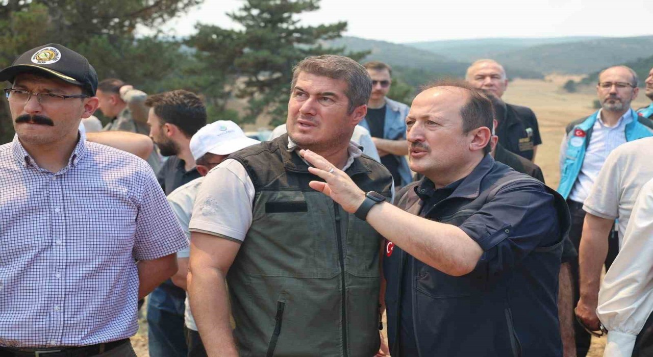 AFAD: Yangınlara karşı mücadele kapsamında 4 bin 231 personel, 45 hava aracı ve bin 236 kara aracı görev yapmaktadır