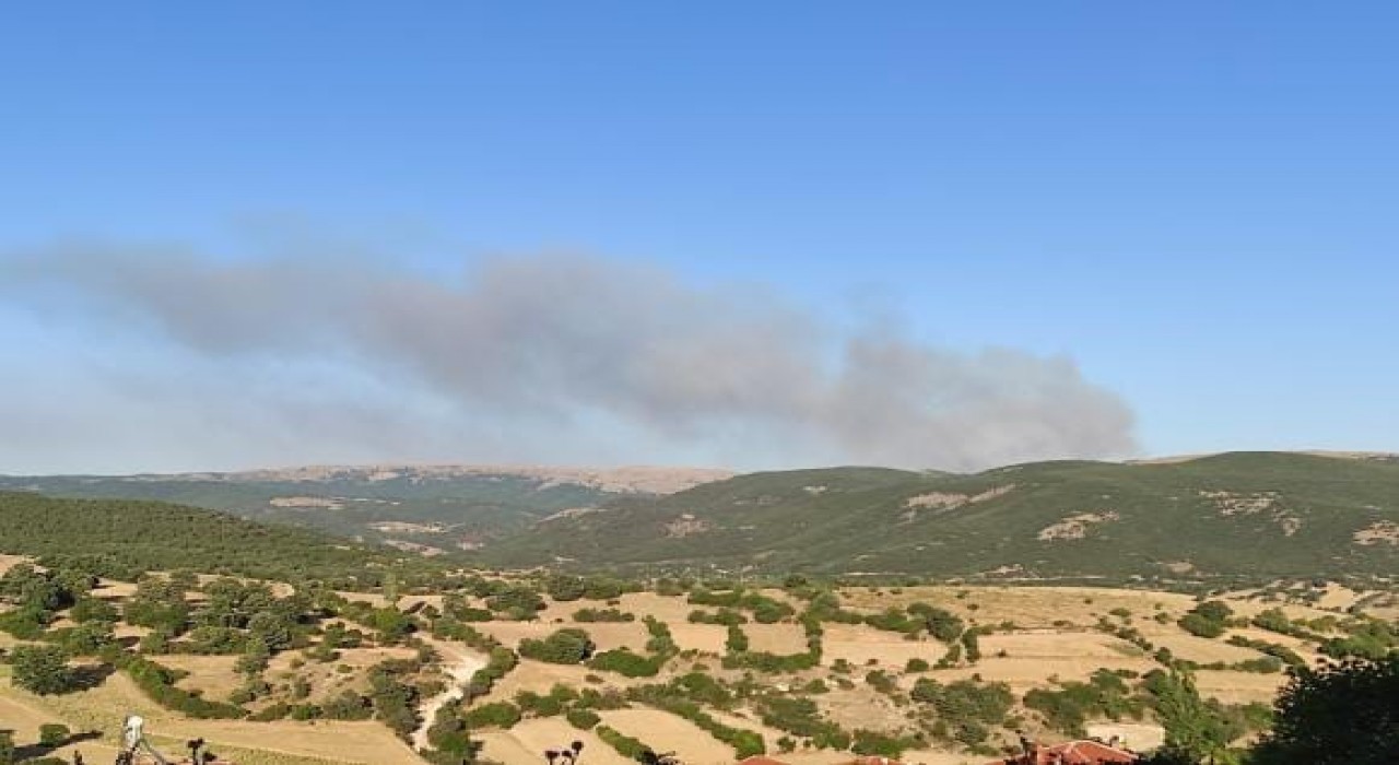 Afyonkarahisarda orman yangını