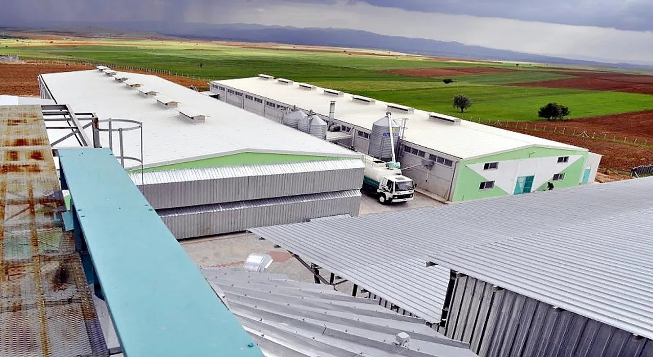 Afyonkarahisardaki yumurta firmasına, FETÖ soruşturması kapsamında kayyum atandı