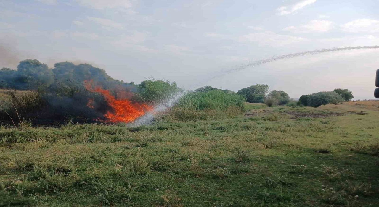 Ağaçlık alanda çıkan yangın itfaiye ekiplerince söndürüldü