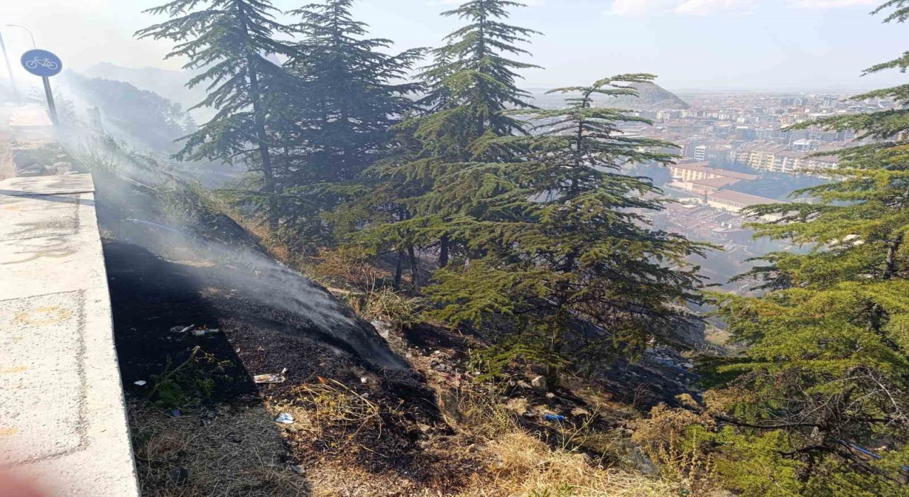 Ağaçlık alandaki yangın paniğe neden oldu