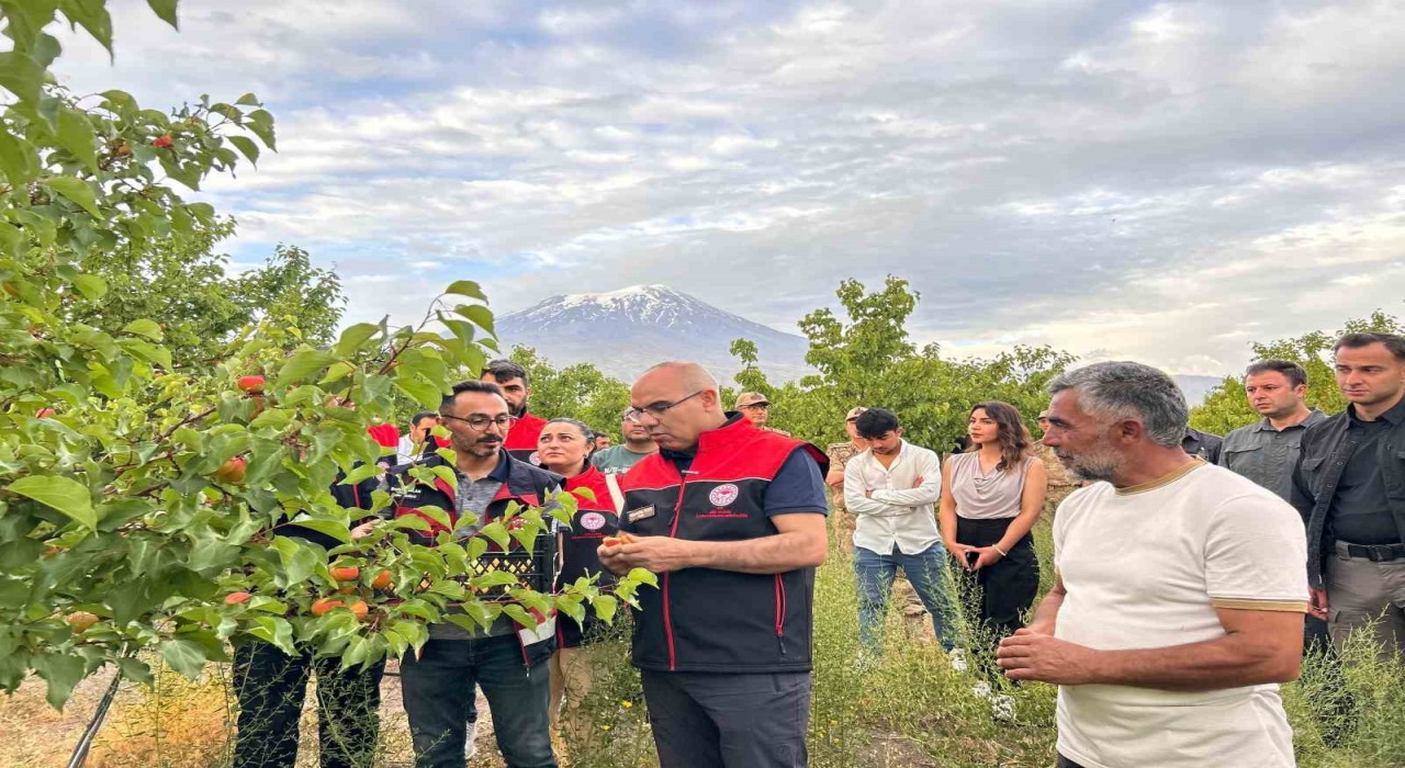 Ağrı Valisi Koç, Doğubayazıtta bir dizi incelemelerde bulundu