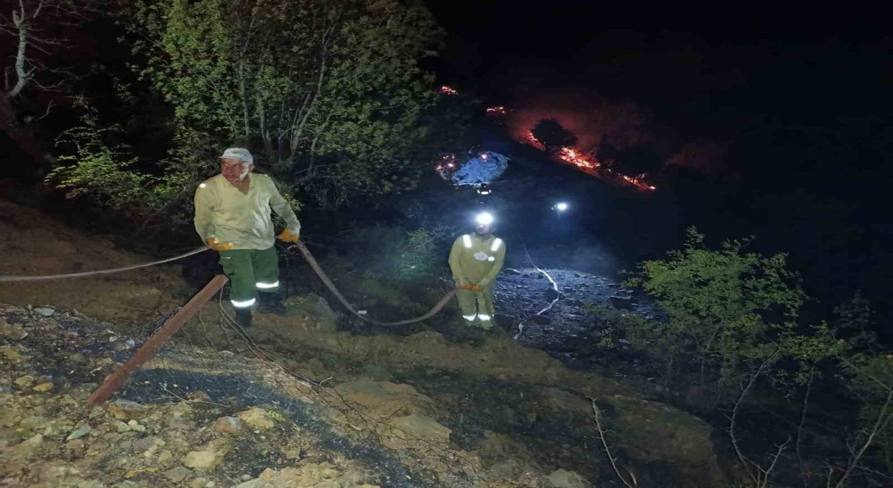 Ahır ve samanlıkta çıkan yangın ormanlık alana sıçradı, müdahale sürüyor