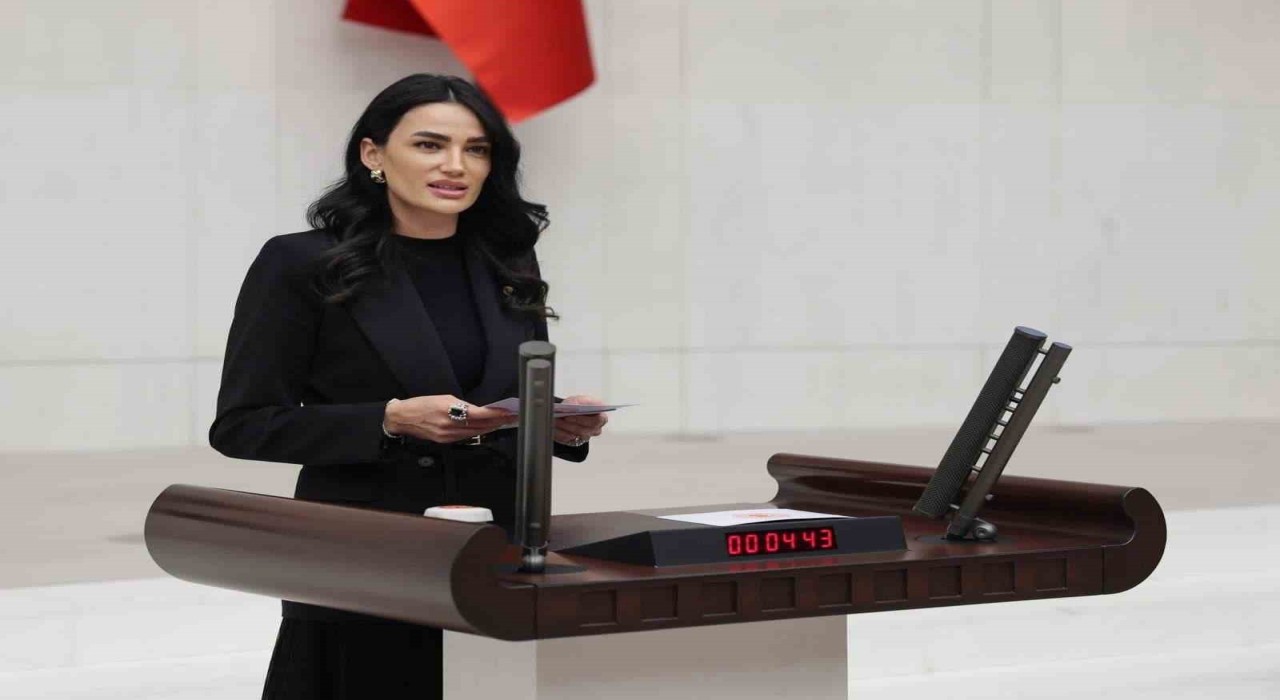 AK Parti Aydın Milletvekili Sarıbaş: Gazetecilerimiz halkımızın sesi olmuştur