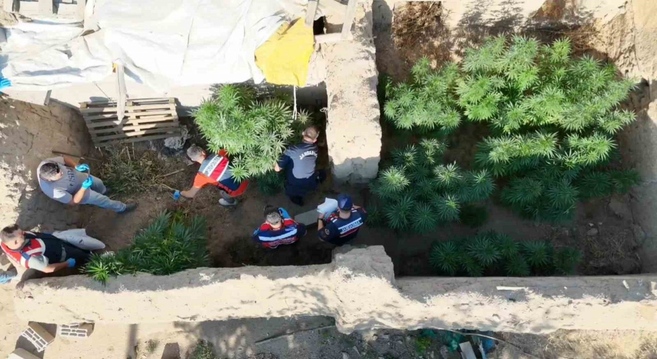 Aksarayda dron destekli uyuşturucu operasyonu: 1 tutuklama
