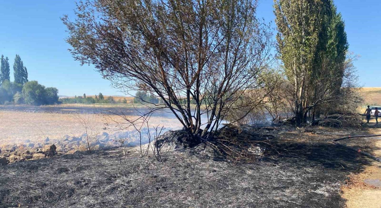 Alacada anız yangını: 5 dönüm arazi zarar gördü