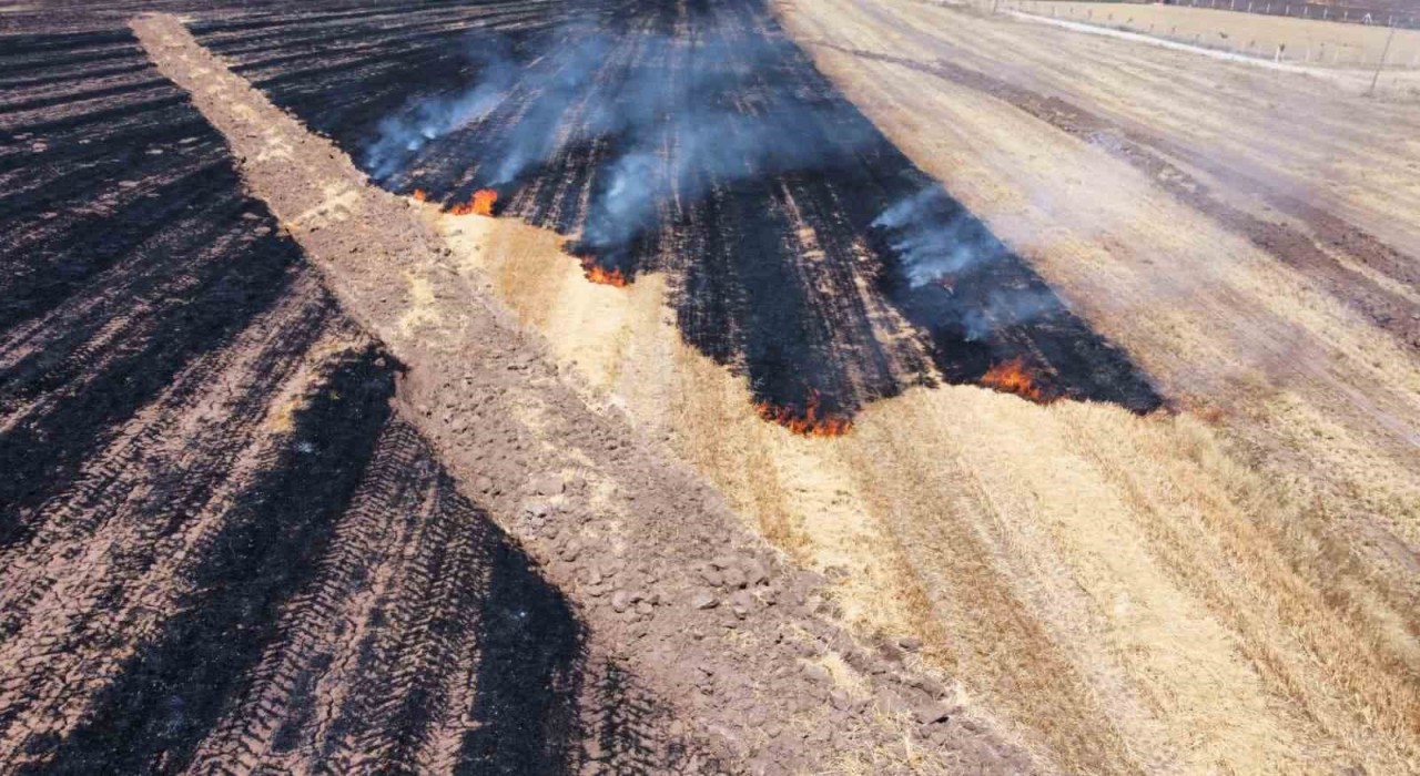 Alacada anız yangını: 70 dönüm arazi kül oldu