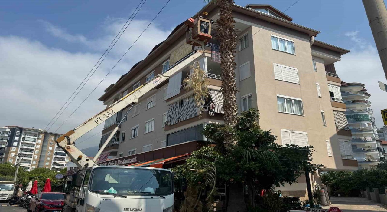 Alanya Belediyesi ve AEDAŞdan yangın riskine karşı önlem