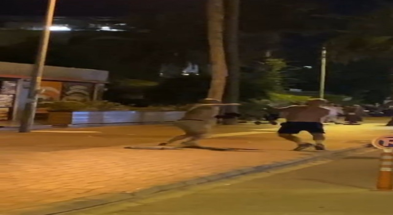 Alanyada Rus turistlerin yumruklu kavgası kamerada