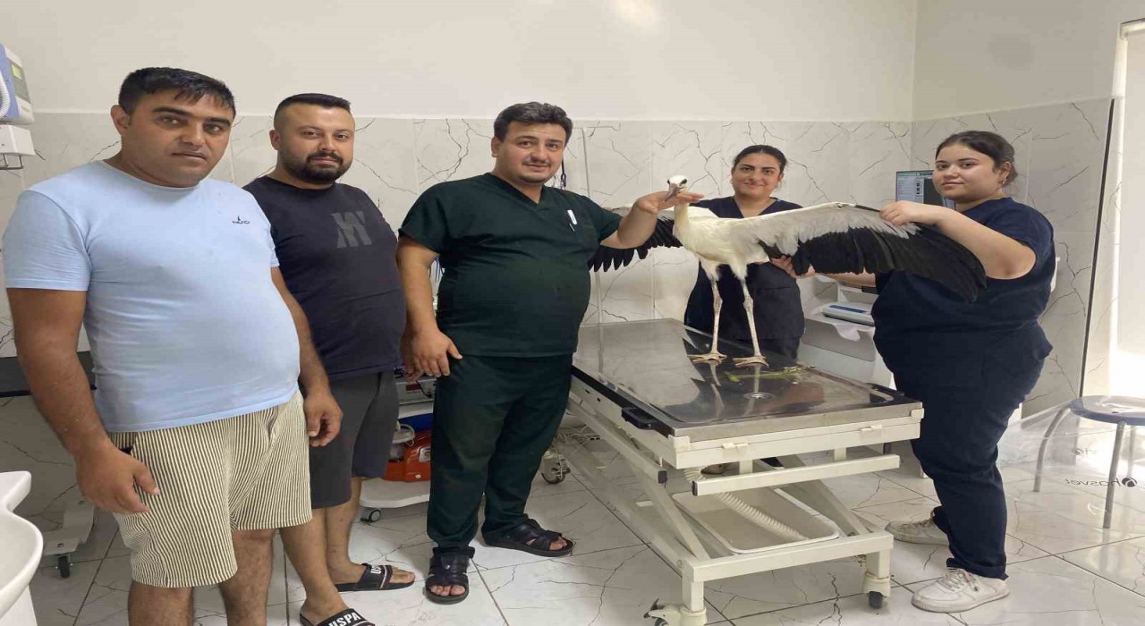 Alaşehirde susuz kalan leylek kurtarıldı