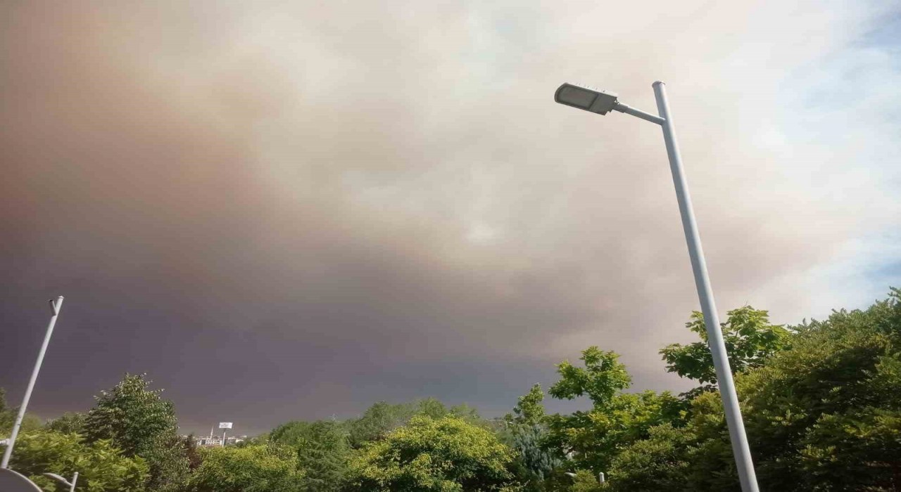 Alevler Bilecike yaklaştı: Belediyeden su tankı bulunan traktör sahiplerine anons