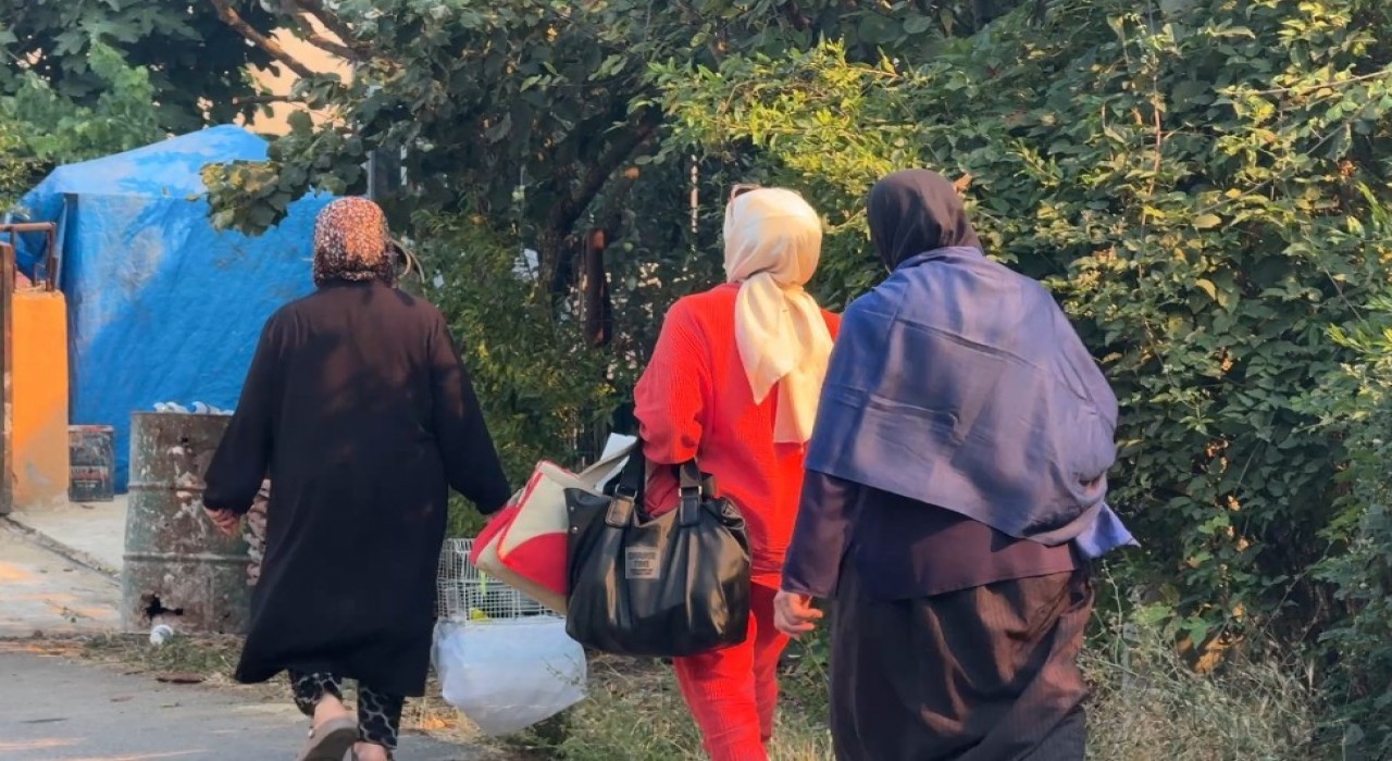 Alevlerden canını zor kurtaran kaplumbağaya yardım eli