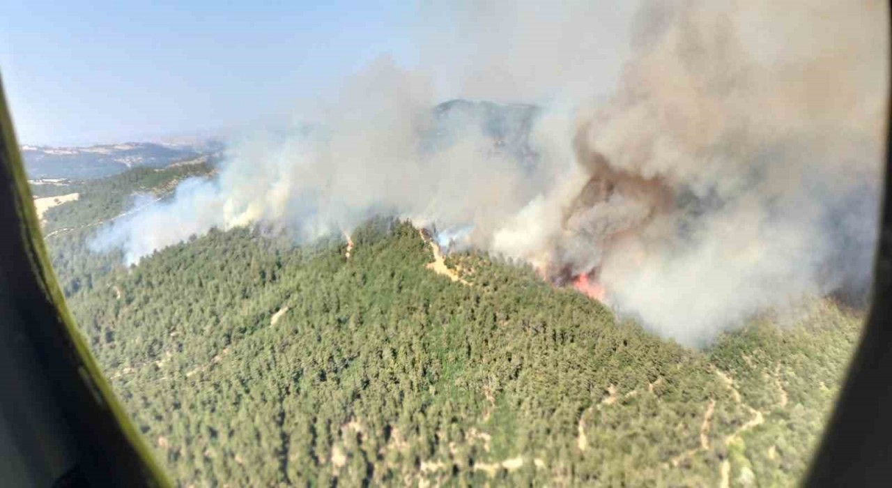 Altıeylülde orman yangını