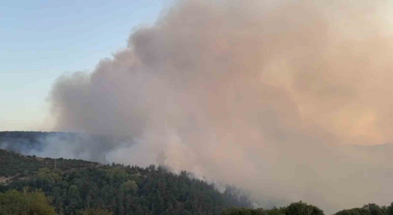 Altıeylüldeki orman yangınına müdahale sürüyor