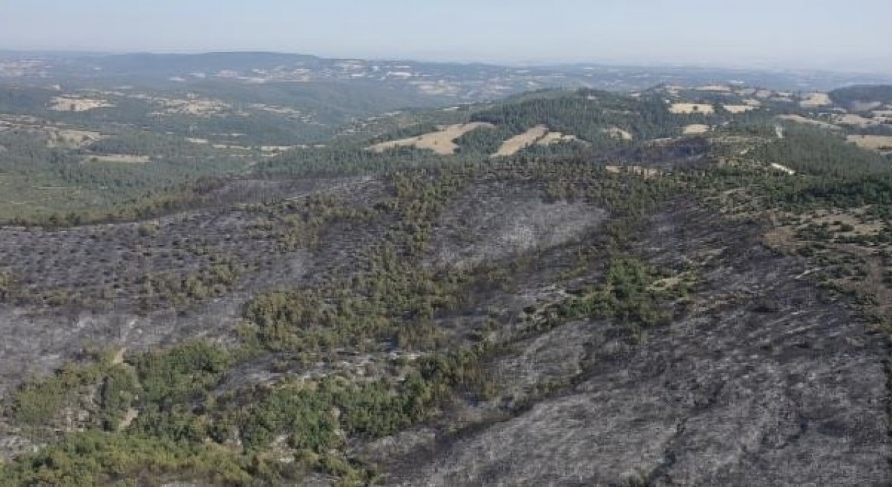 Altıeylüldeki yangın havadan görüntülendi