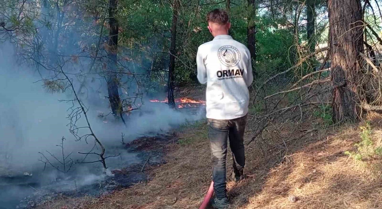 Amasyada orman yangını