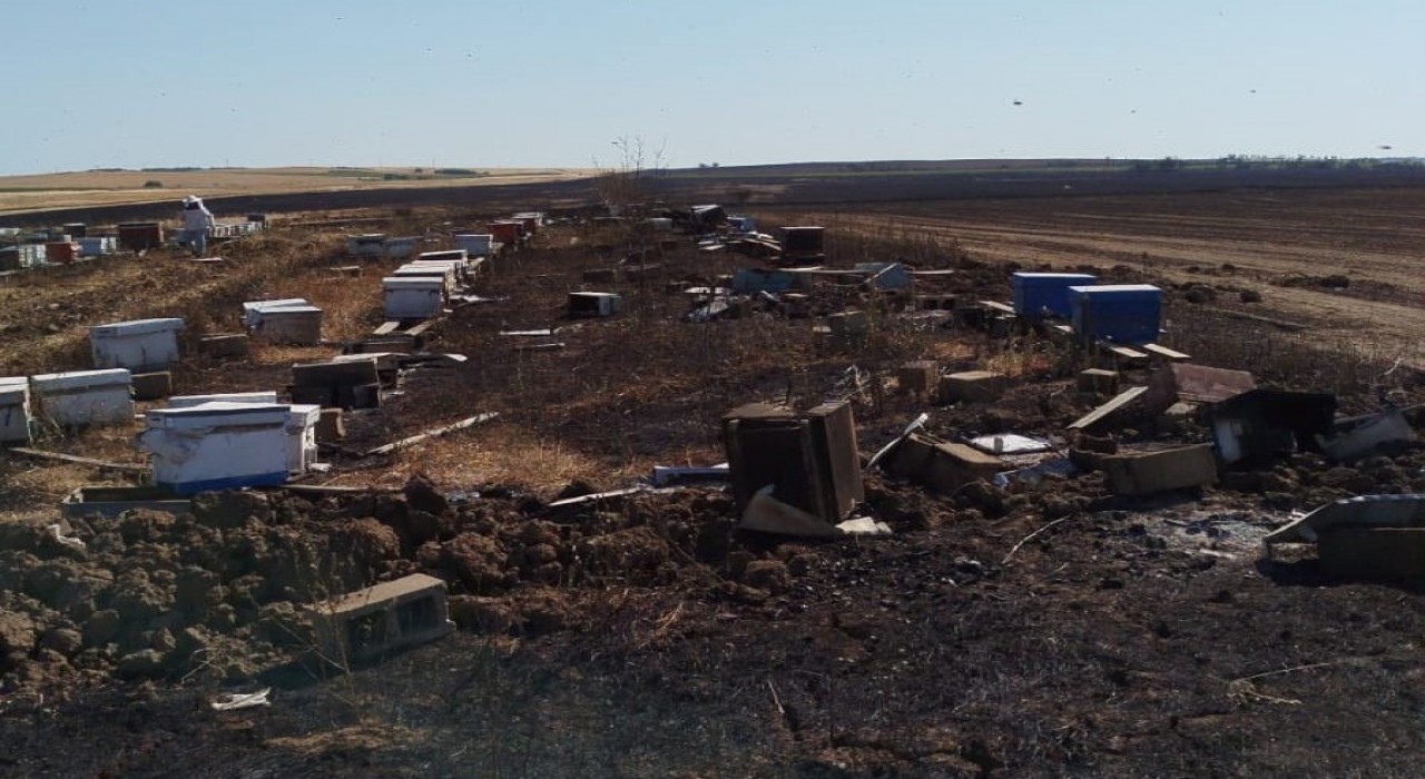 Anız yangını 400 arı kovanını kül etti