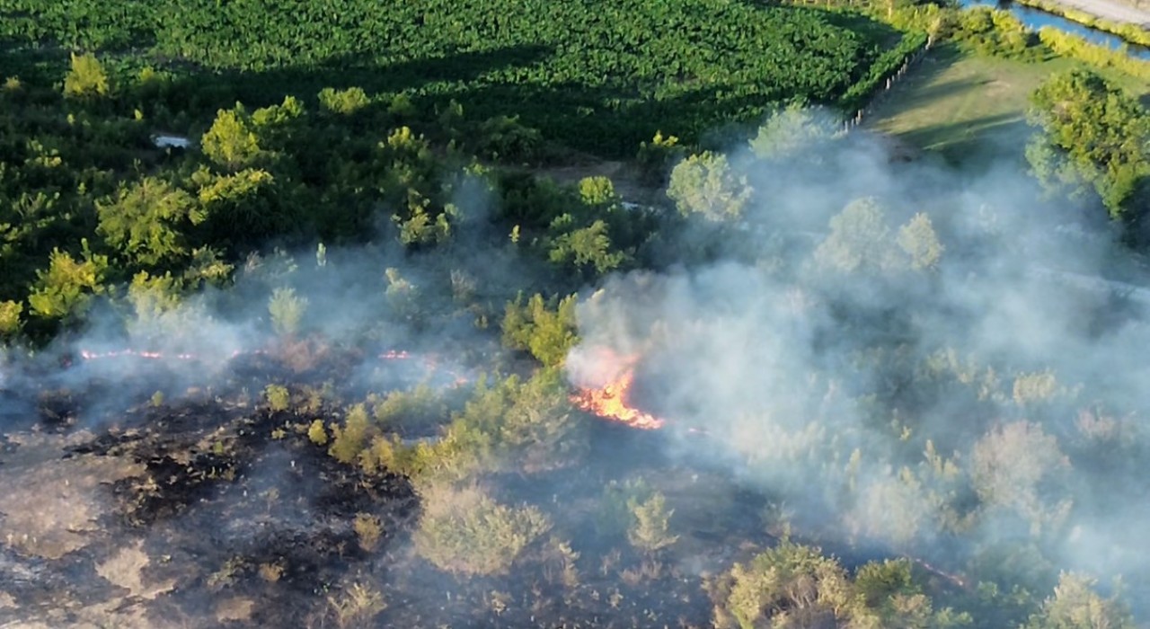 Anız yangını orman sıçradı: 10 dönüm küle döndü