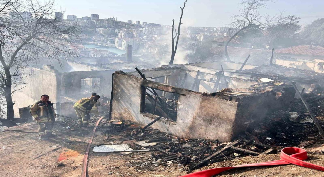 Ankarada ağaçlık alanda çıkıp gecekondulara sıçrayan yangın söndürüldü