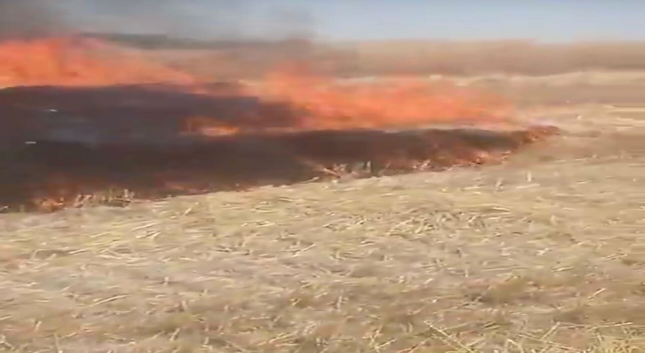 Ankarada anız yangını