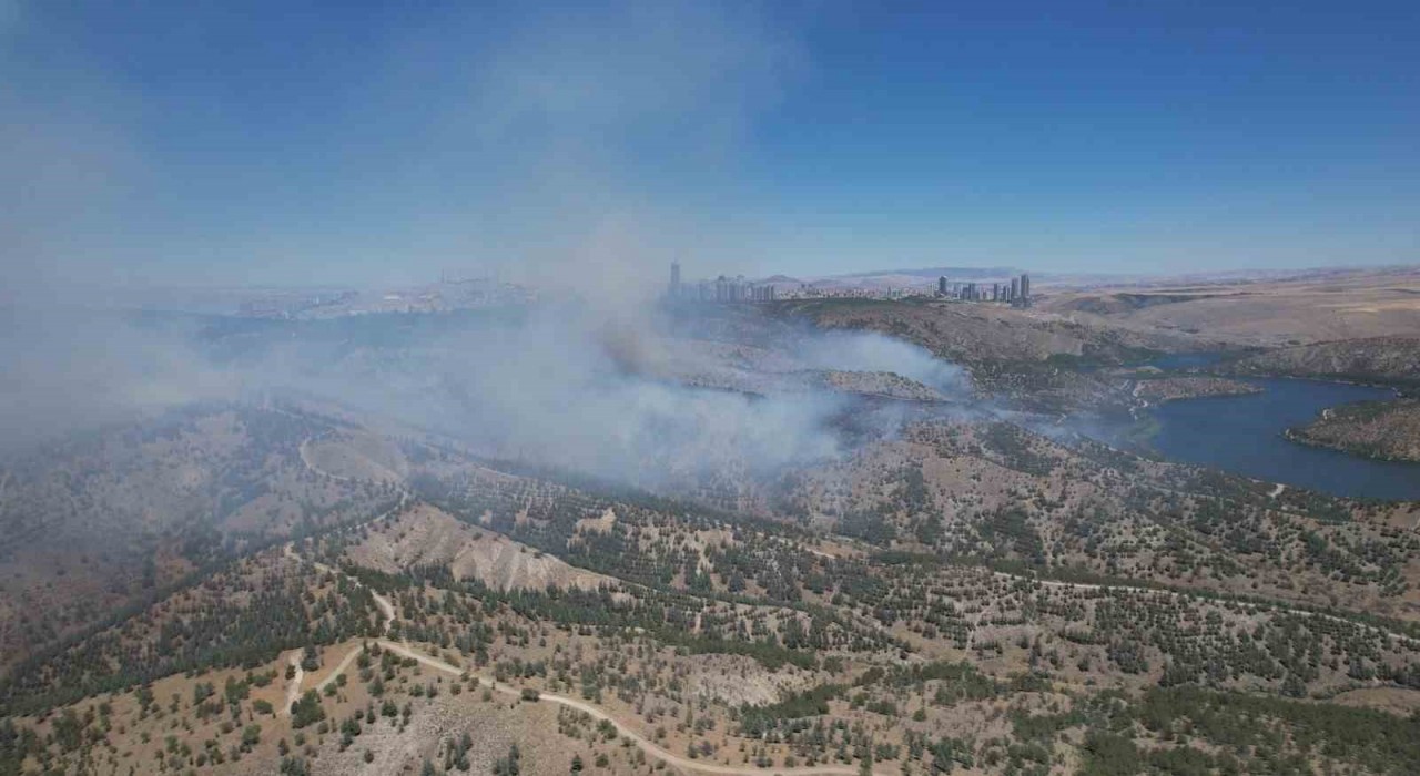 Ankaradaki orman yangını dron ile görüntülendi