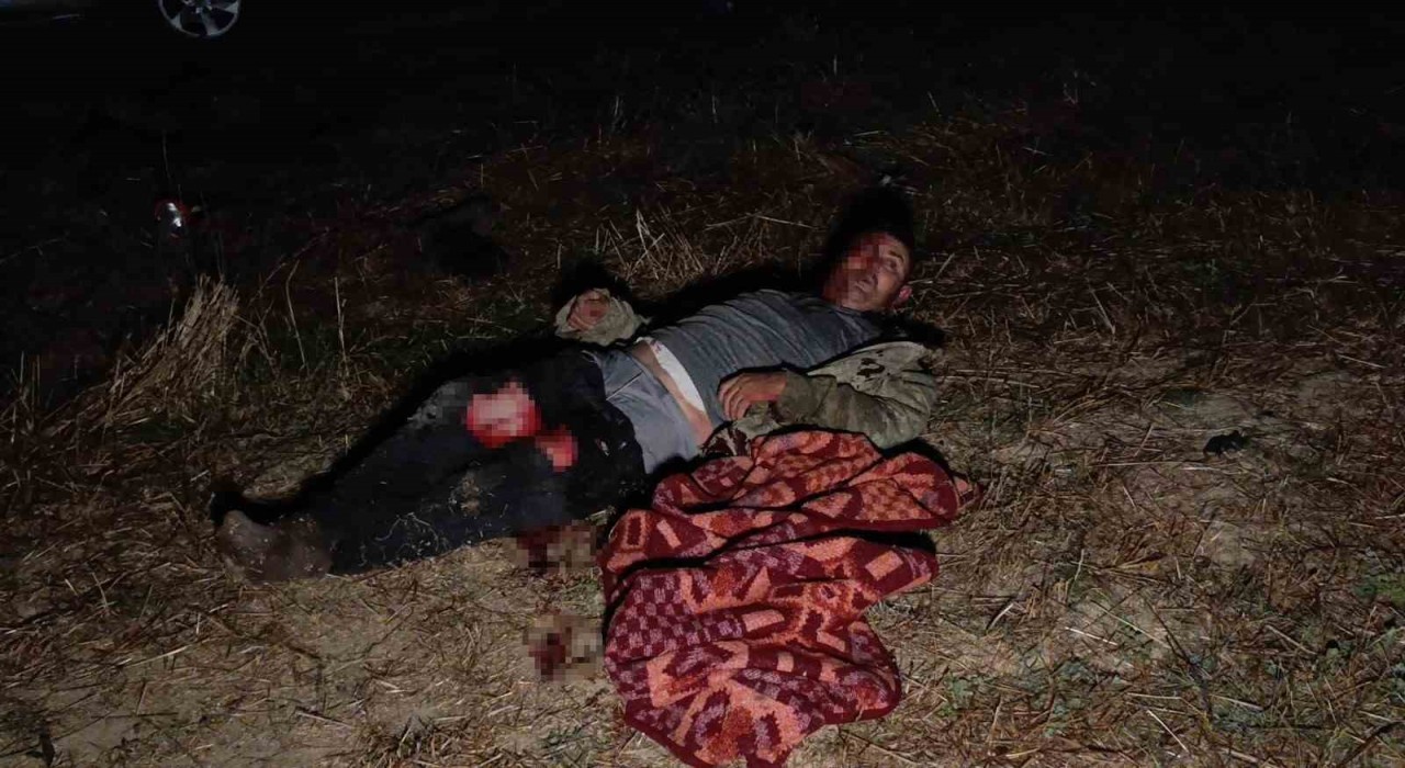 Antalyada aslanın kaçtığı hayvanat bahçesinin denetimi sürüyor