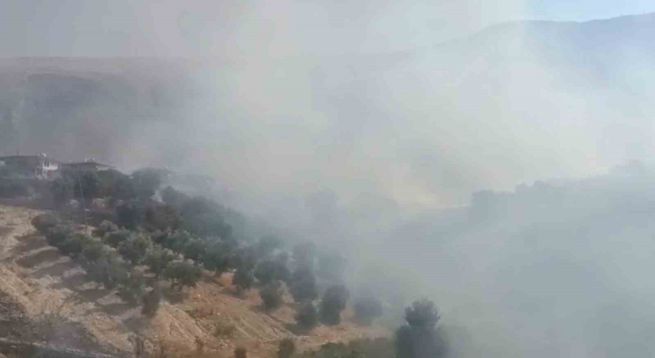 Antalyada evlere yakın bölgede yangın