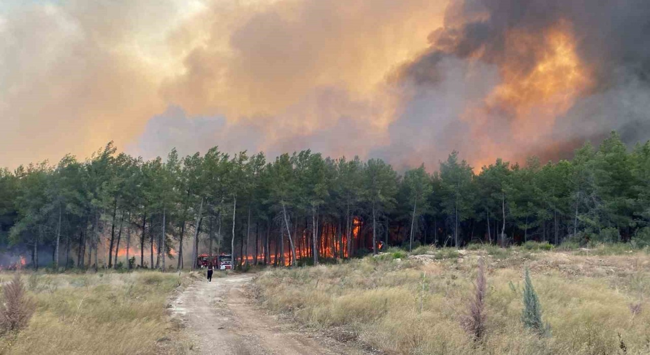 Antalyada orman yangını