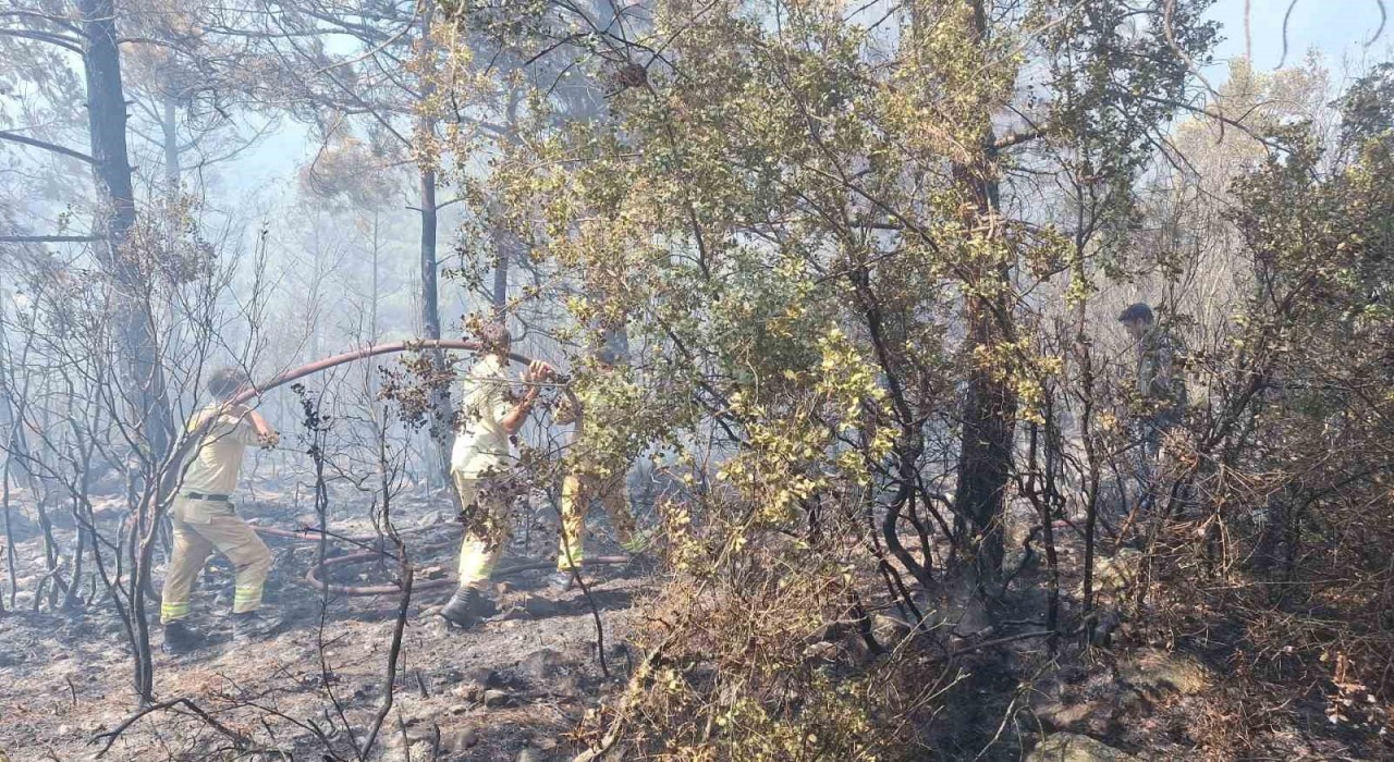 Antalyadaki orman yangınında 2,8 hektarlık alan zarar gördü