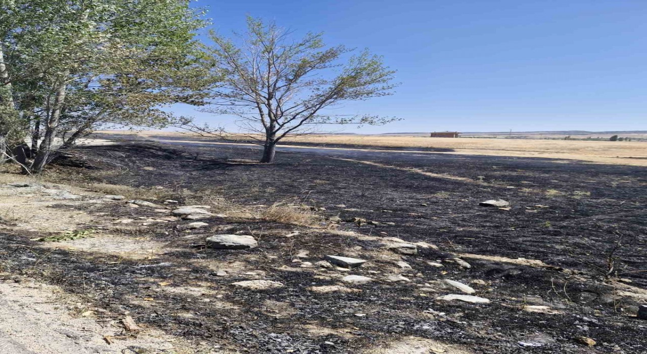 Arazide çıkan yangına çiftçi ve itfaiye ekipleri müdahale etti