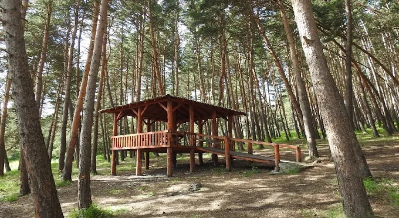 Ardahanda ormanlara giriş yasaklandı