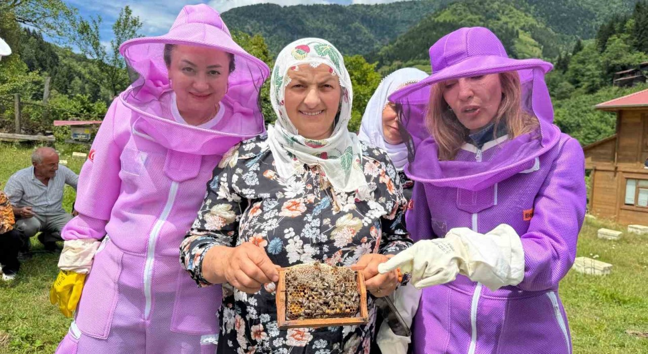 Artvinde arıcılığı doğa turizmiyle birleştiren apiturizm faaliyetleri başladı