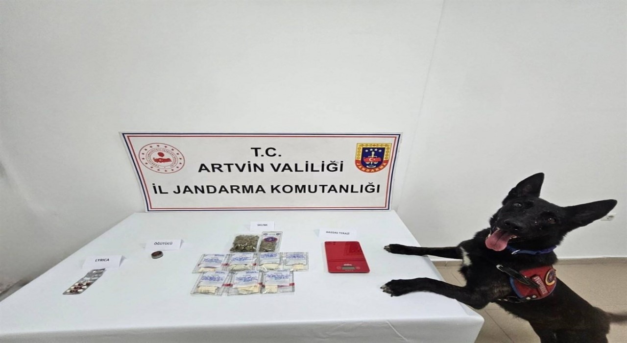 Artvinde uyuşturucu operasyonu: 2 kişi tutuklandı
