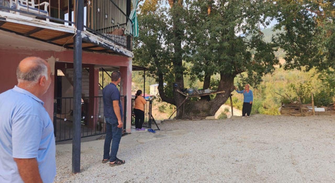 Asırlık Meşe Ağacında “Allah” Yazısı! Görenler Hayran Kalıyor