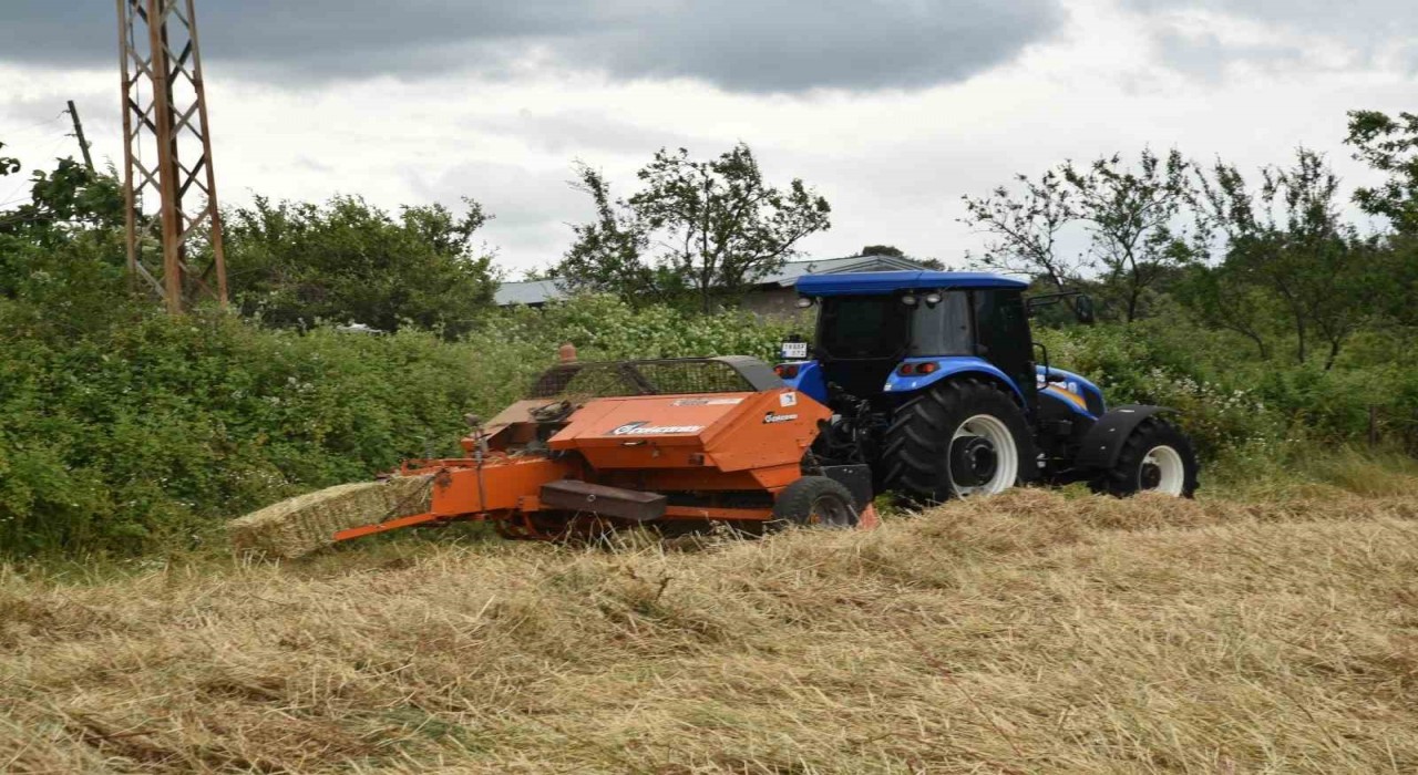 Atakumda tarlalar altın rengine büründü