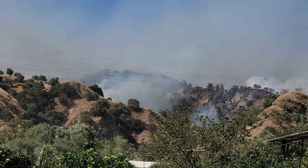 Aydın Valisi Canbolat: Ekipler çevreyi sardı, kısa sürede kontrol altına alacağız