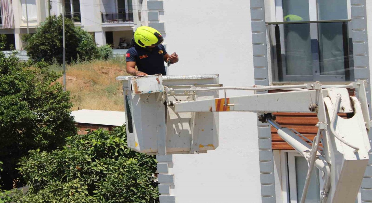 Aydında balkonda sıkışan kumruyu vatandaşın dikkati kurtardı